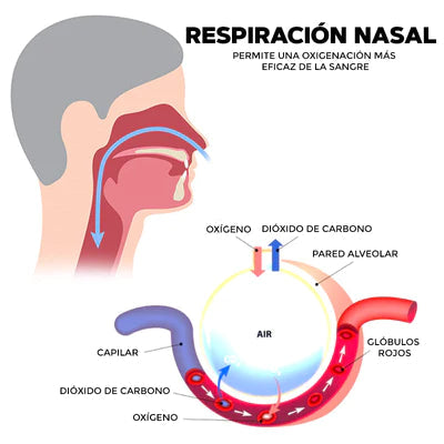 DISPOSITIVO PARA APNEA Y RONQUIDOS