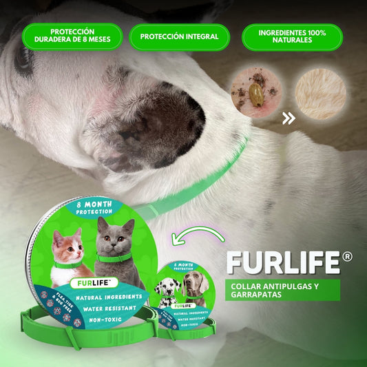 FurLife: Collar Antipulgas y Garrapatas