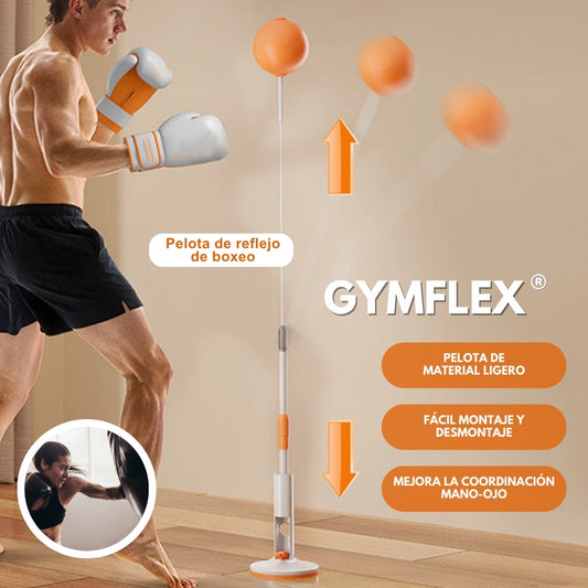 GymFlex: Pelota de reflejo de boxeo